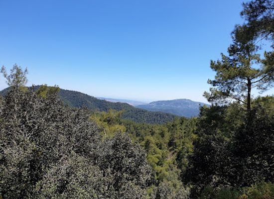 cyprus/troodos-mountains/landmark/cedar-valley