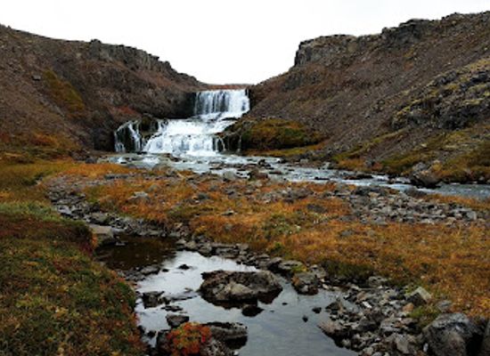 iceland/dynjandi-waterfall/landmark/dynjandisheioi-heath