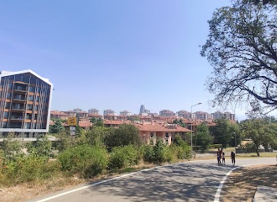 turkiye/bursa/nilufer/landmark/ormandaki-kulube