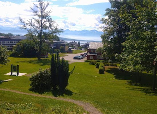 norway/molde/landmark/the-royal-birch