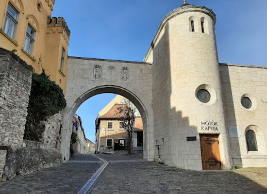 hungary/veszprem/landmark/kolodko-erne-ernie-the-guard