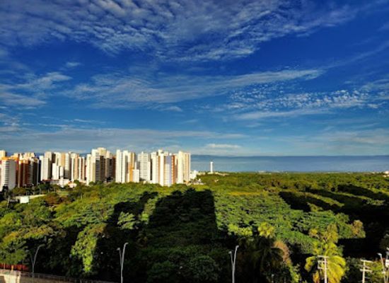 brazil/fortaleza/landmark/parque-estadual-do-coco