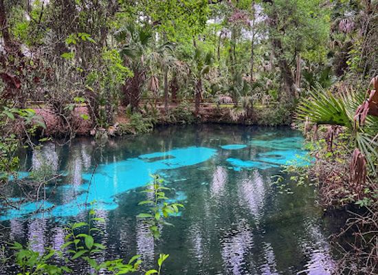 florida/juniper-springs-recreation-area/landmark/juniper-springs-recreation-swimming-area-marion-county-fl
