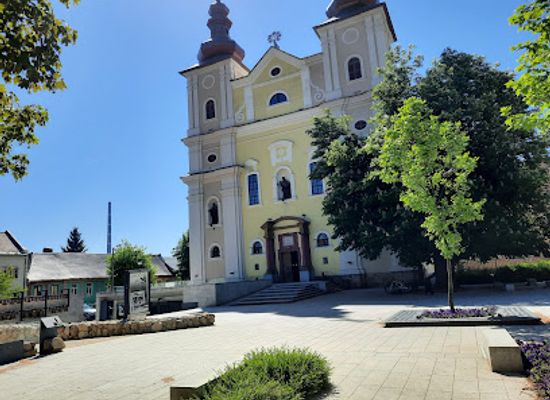 romania/baia-mare/landmark/muzeul-judetean-de-arta-centrul-artistic-baia-mare