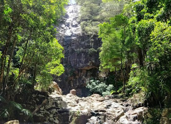 australia/northern-rivers/landmark/protesters-falls
