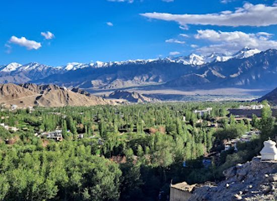 india/ladakh/landmark/nyzer-gompa-gonpa-leh-ladakh