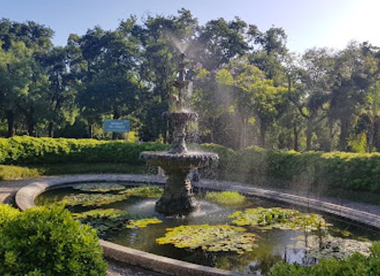 uruguay/montevideo/landmark/montevideo-botanical-garden