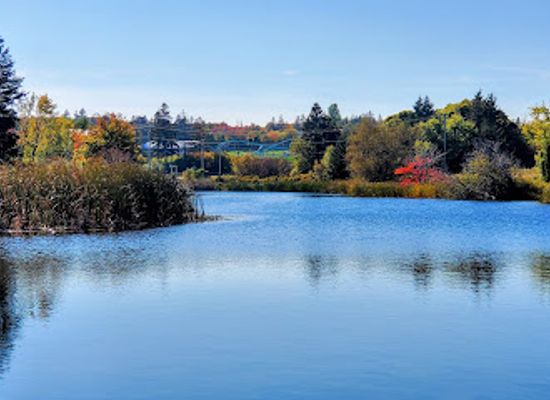 canada/maritimes/landmark/cavendish-grove-prince-edward-island-national-park