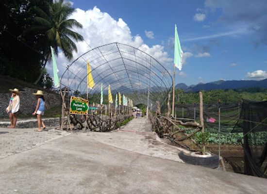 philippines/soccsksargen/landmark/mariano-s-blooming-agri-tourism-park