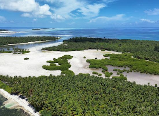 maldives/laamu-atoll/landmark/hithadhoo-mangrove