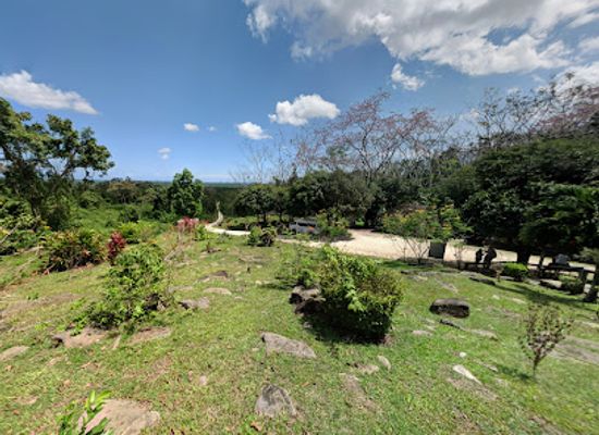 belize/toledo-district/landmark/nim-li-punit-mayan-ruins