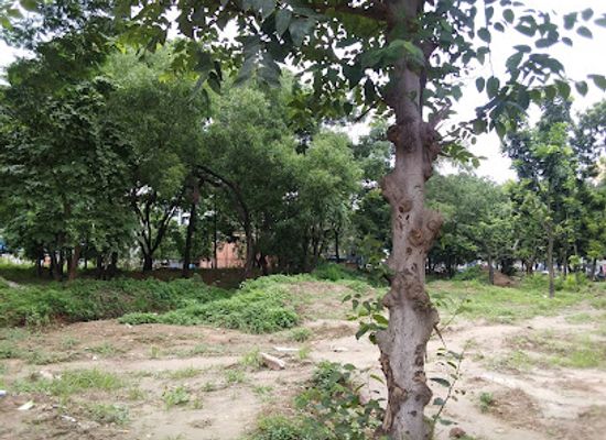 bangladesh/madhupur-tract/landmark/panthokunjo
