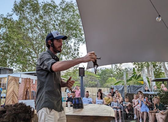 australia/port-douglas/landmark/cane-toad-racing