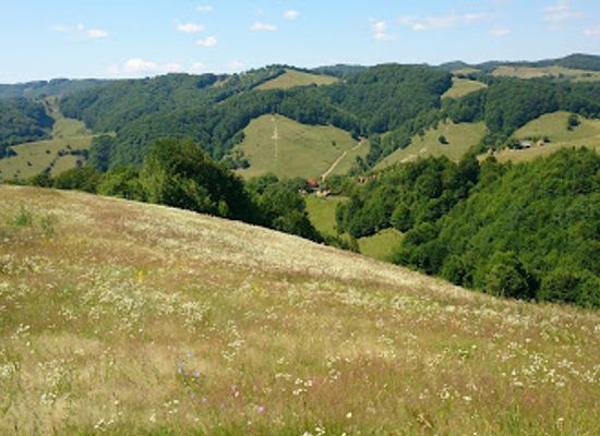 romania/maramures/landmark/tibles-mountains