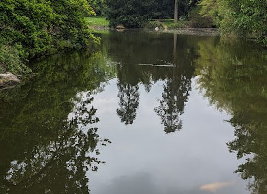 france/rennes/landmark/park-hamelin-oberthur