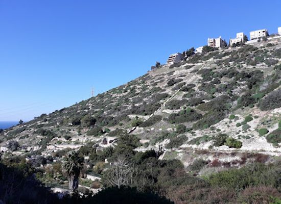 israel/haifa/landmark/bustan-khayat