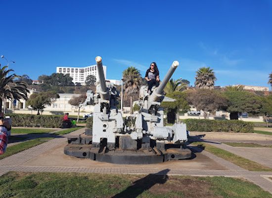 chile/vina-del-mar/landmark/playa-los-canones