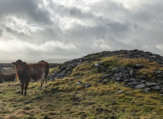 ireland/the-burren/landmark/poulawack-cairn