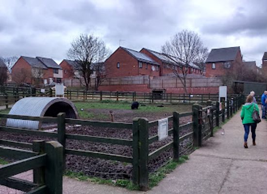 united-kingdom/nottingham/attraction/stonebridge-city-farm