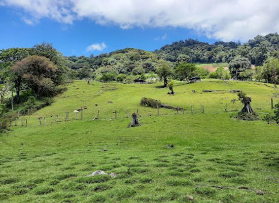 panama/chiriqui-highlands/landmark/cascada-el-tatica