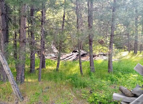 oregon/grant-county/landmark/old-townsite-of-pine-grove