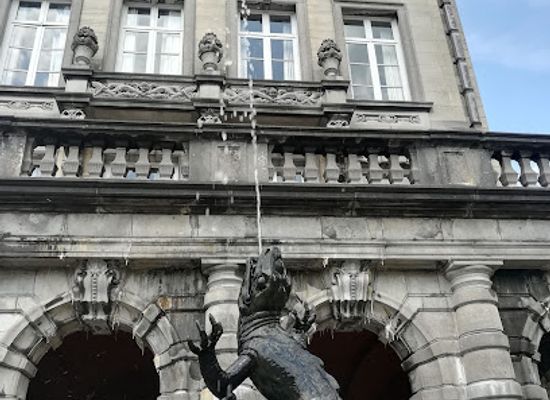 belgium/county-of-hainaut/landmark/chateau-fort-de-feluy-location-salle-mariage-team-building-rental-castle-verhuur-kateel-hainaut-wallonie-belgique