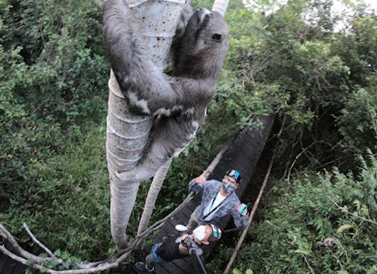 peru/ucayali/landmark/cashibo-ecolodge