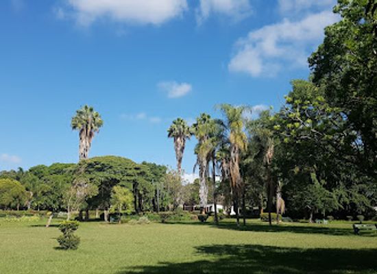 zimbabwe/harare/landmark/elizabeth-chisholm-gardens