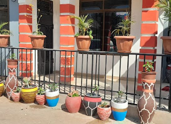tanzania/dodoma/landmark/ndamango-the-green