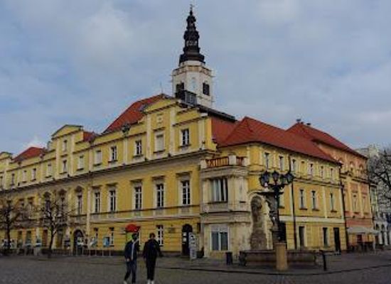 poland/sudetes/landmark/town-hall-in-swidnica