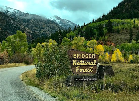 wyoming/bridger-teton-national-forest/landmark/bridger-national-forest
