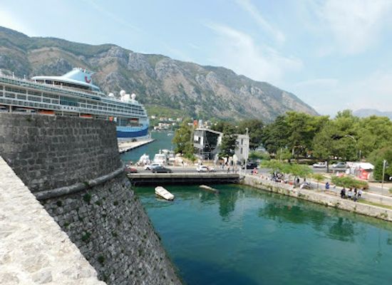 montenegro/bay-of-kotor/landmark/cat-park