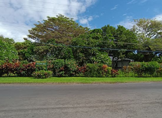 samoa/va-a-o-fonoti/landmark/fanua-faaso-tiafau-reserve