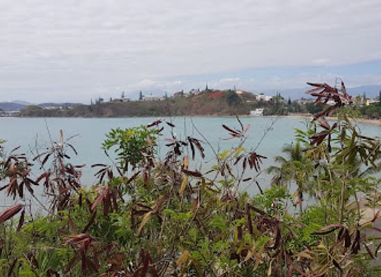 new-caledonia/noumea/landmark/lagoon-aquarium