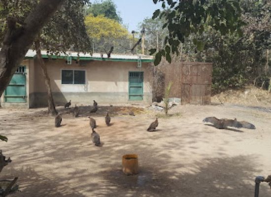 the-gambia/wuli-east/landmark/abuko-nature-reserve
