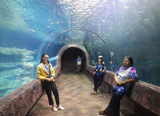 thailand/mekong-river-region/landmark/nong-khai-aquarium