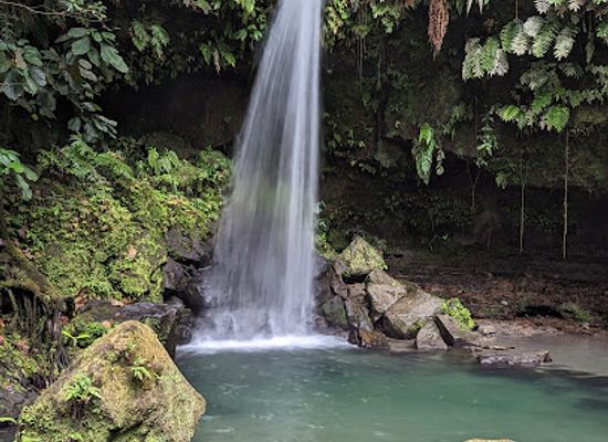 dominica/indian-river/landmark/emerald-pool