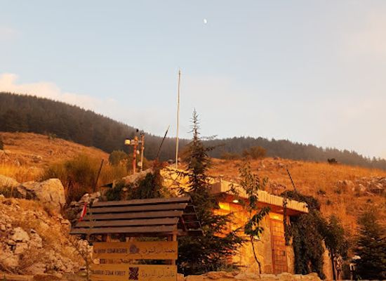 lebanon/chouf-district/landmark/shouf-biosphere-reserve-barouk-cedar-forest