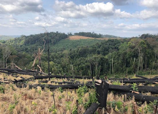 cambodia/mondulkiri/landmark/kouprey-roundabout