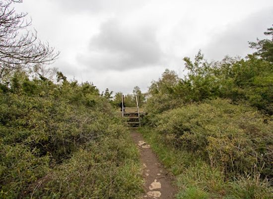 sweden/oland/attraction/stora-alvaret