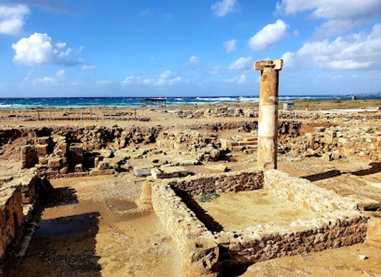 cyprus/paphos/landmark/house-of-aion