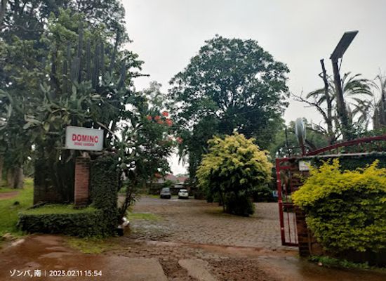 malawi/zomba-plateau/landmark/domino-s-restaurant
