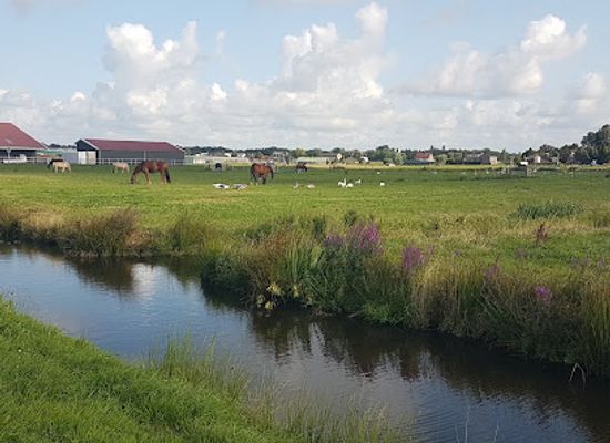 netherlands/ijsselmeer-polders/landmark/vosse-en-weerlanerpolder