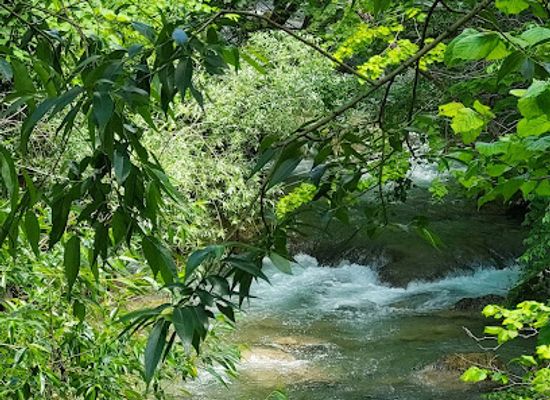 romania/cheile-nerei-national-park/landmark/cheile-nerei-beusnita