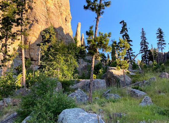 south-dakota/black-hills-national-forest/landmark/needles-highway