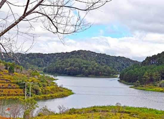 vietnam/dalat/landmark/tuyen-lam-lake-viewpoint