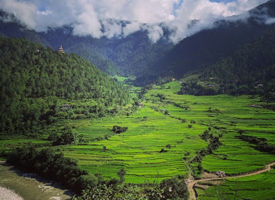 bhutan/eastern-bhutan/landmark/jigme-dorji-national-park