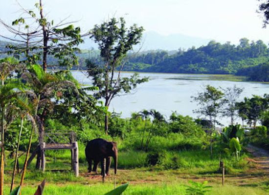 laos/sainyabuli-province/landmark/elephant-conservation-center