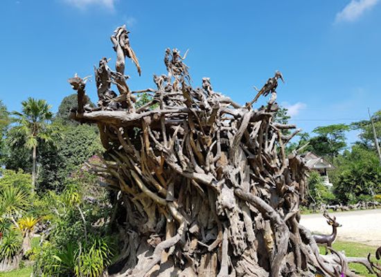 thailand/trang-archipelago/landmark/dragon-tree-sculpture-garden