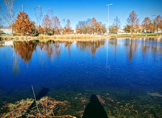 missouri/rolla/landmark/schuman-park